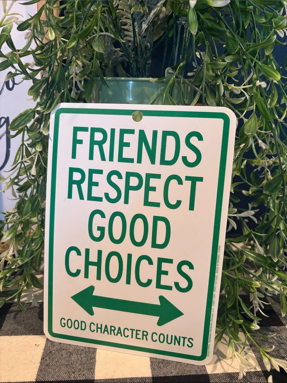 Green & White 'Friends Respect Good Choices' Sign